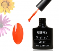 Shellac BLUESKY, № Neon22