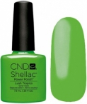 Shellac CND "Lush Tropics", № 90516